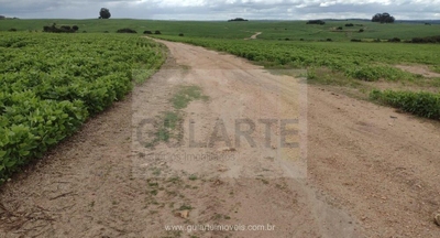 Fazenda-Sítio-Chácara, 875 hectares - Foto 3
