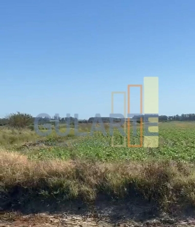 Fazenda-Sítio-Chácara, 600 hectares - Foto 3