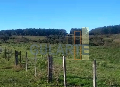 Fazenda-Sítio-Chácara, 360 hectares - Foto 4
