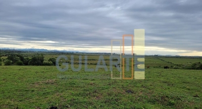 Fazenda-Sítio-Chácara, 458 hectares - Foto 4