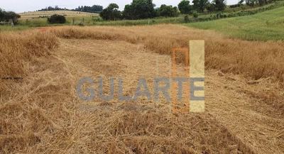 Fazenda, 517 hectares - Foto 3