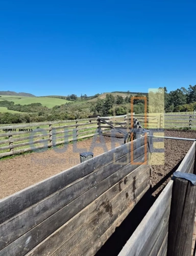 Fazenda, 273 hectares - Foto 3