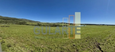 Fazenda, 273 hectares - Foto 1