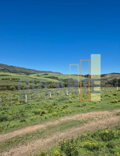 Fazenda, 273 hectares - Foto 4