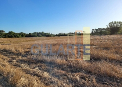 Fazenda-Sítio-Chácara, 62 hectares - Foto 1