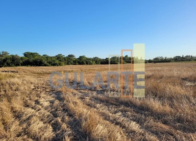 Fazenda-Sítio-Chácara, 62 hectares - Foto 2