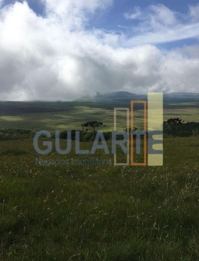 Fazenda-Sítio-Chácara, 20 hectares - Foto 2