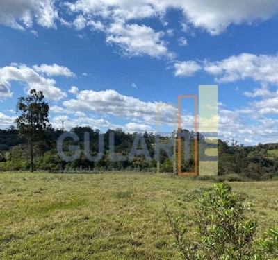 Fazenda, 60 hectares - Foto 3