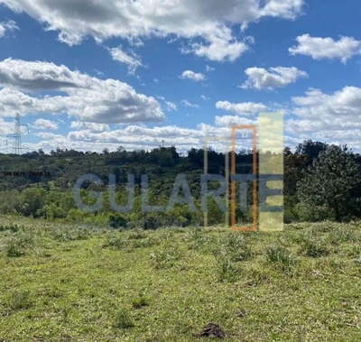 Fazenda, 60 hectares - Foto 2
