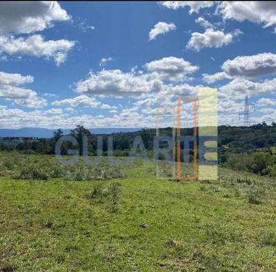 Fazenda, 60 hectares - Foto 5