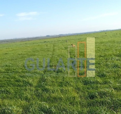 Fazenda-Sítio-Chácara, 545 hectares - Foto 2