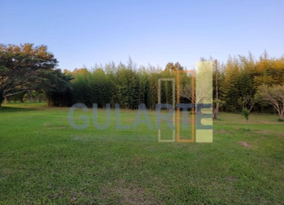 Fazenda-Sítio-Chácara, 6 hectares - Foto 4