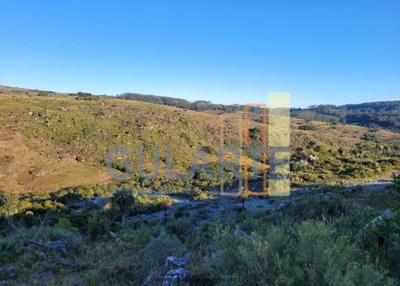 Fazenda-Sítio-Chácara, 400 hectares - Foto 3