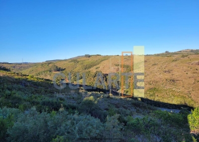 Fazenda-Sítio-Chácara, 400 hectares - Foto 2