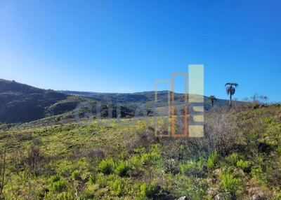 Fazenda-Sítio-Chácara, 400 hectares - Foto 4