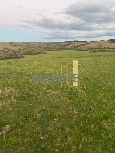 Fazenda-Sítio-Chácara, 562 hectares - Foto 2