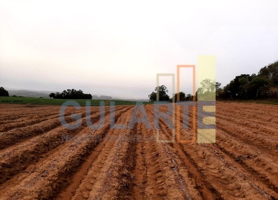 Sítio, 12 hectares - Foto 3