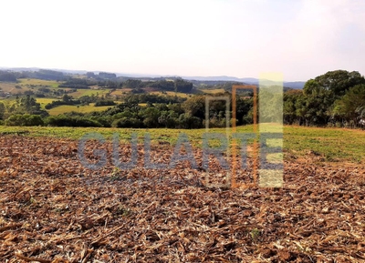 Sítio, 12 hectares - Foto 5