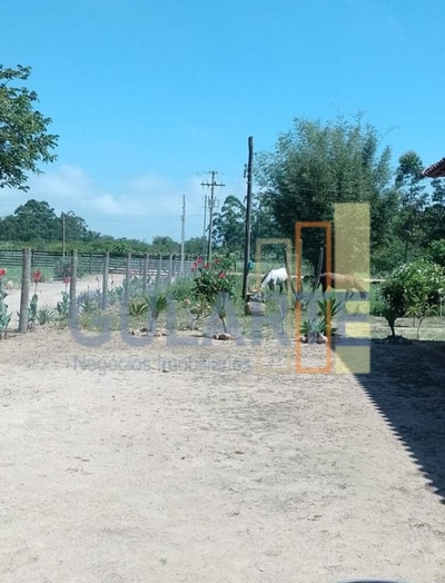 Casa, 20000 m² - Foto 4