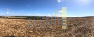 Fazenda-Sítio-Chácara, 401 hectares - Foto 1