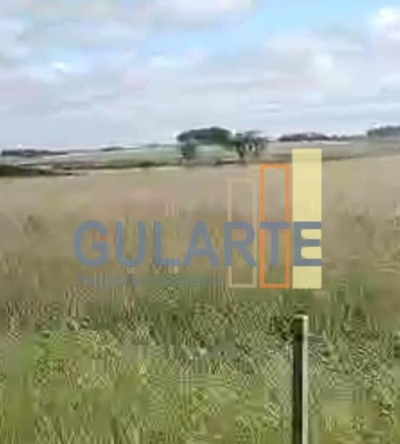 Fazenda-Sítio-Chácara, 401 hectares - Foto 5