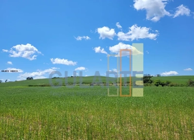 Fazenda, 405 hectares - Foto 1