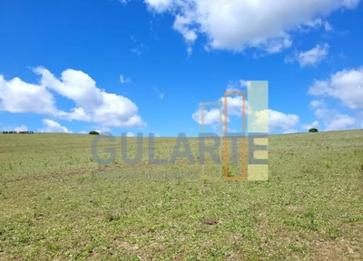 Fazenda, 405 hectares - Foto 5