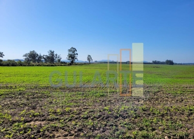 Fazenda-Sítio-Chácara, 89 hectares - Foto 1