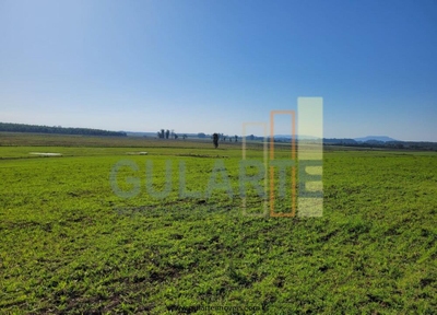 Fazenda-Sítio-Chácara, 89 hectares - Foto 2