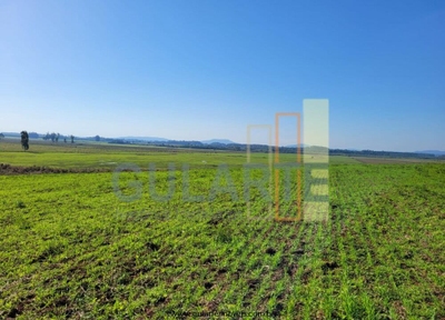 Fazenda-Sítio-Chácara, 89 hectares - Foto 5