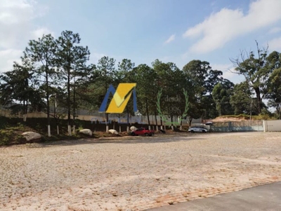 Depósito-Galpão, 11000 m² - Foto 5