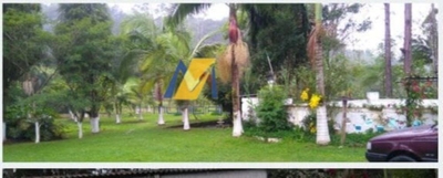 Chácara, 5 quartos - Foto 3