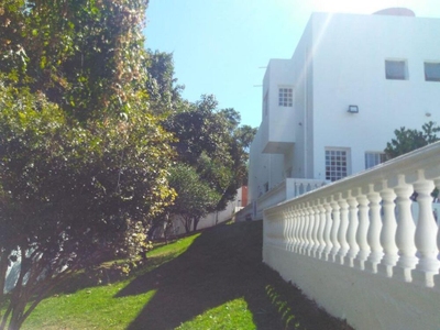 Chácara, 3 quartos, 2000 m² - Foto 5