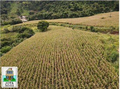 Fazenda-Sítio-Chácara, 20 m² - Foto 3