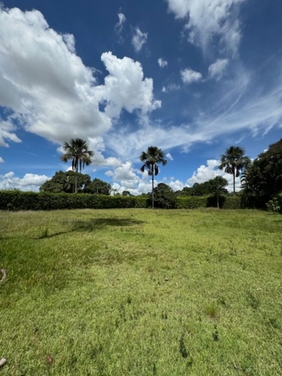 Casa, 4 quartos - Foto 3