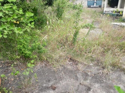 Terreno, 1200 m² - Foto 5