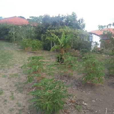 Chácara, 2 quartos, 1500 m² - Foto 2