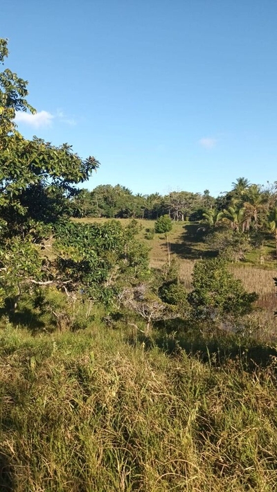 Terreno, 2 m² - Foto 3