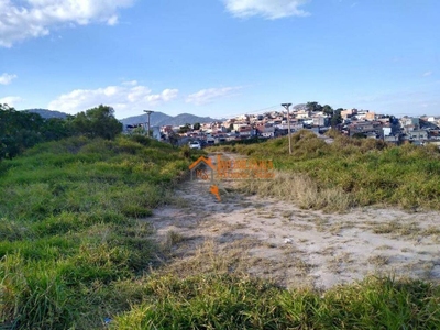 Terreno, 4 hectares - Foto 5