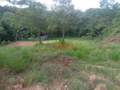 Terreno, 10000 m² - Foto 3