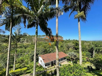 Sítio, 4 quartos, 2 hectares - Foto 3