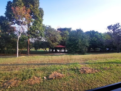 Casa, 4 quartos - Foto 3