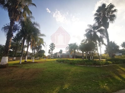 Casa, 4 quartos - Foto 2