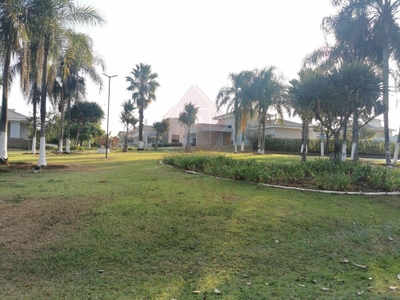 Casa, 4 quartos - Foto 4