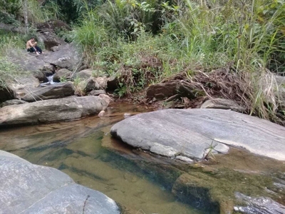 Sítio, 2 quartos, 100 m² - Foto 2