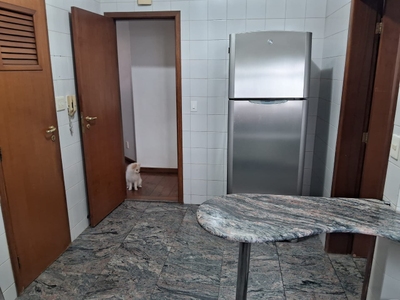 Apartamento, 4 quartos, 173 m² - Foto 3