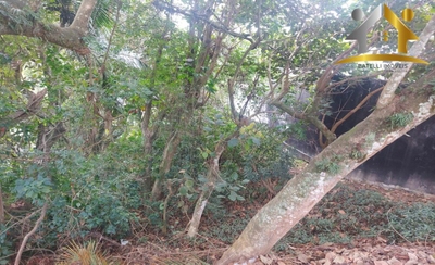 Terreno, 450 m² - Foto 4