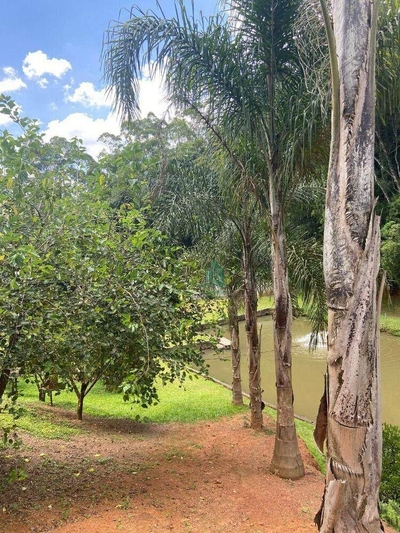 Chácara, 3 quartos, 3000 m² - Foto 4