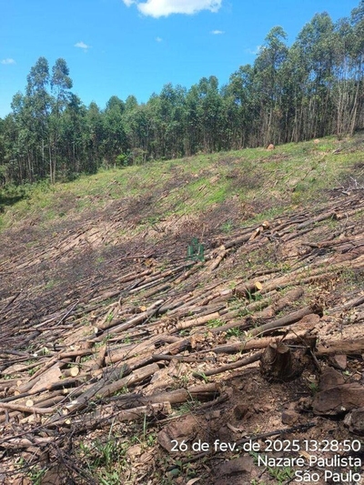 Terreno, 1 hectares - Foto 3