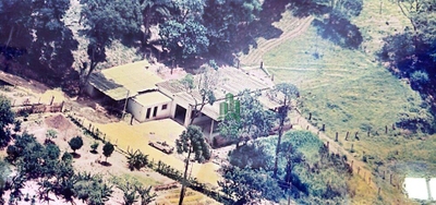 Depósito-Galpão, 450 m² - Foto 2